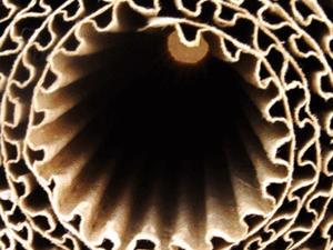 Why virginity is so important to Australia